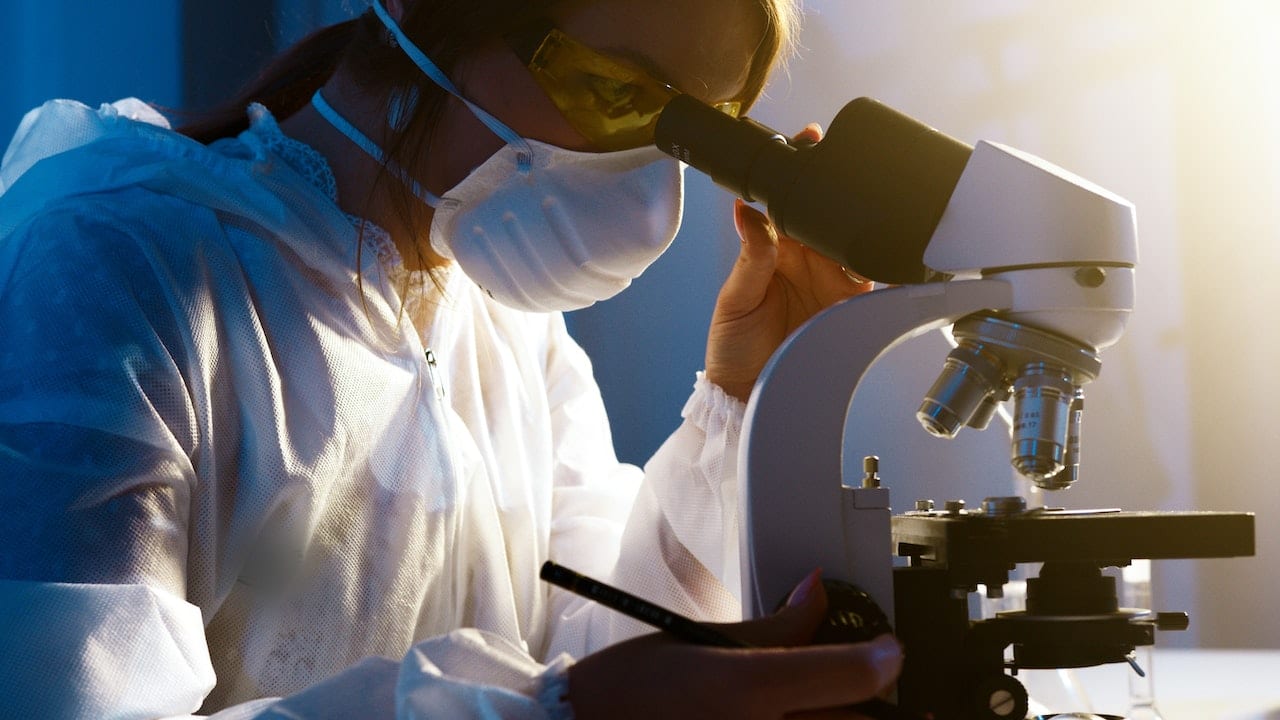 Utilisation d&rsquo;un microscope optique