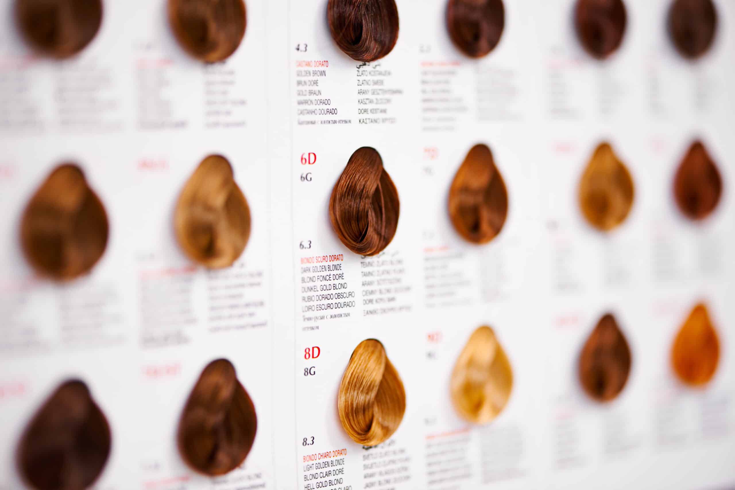Les Différentes catégories de coloration