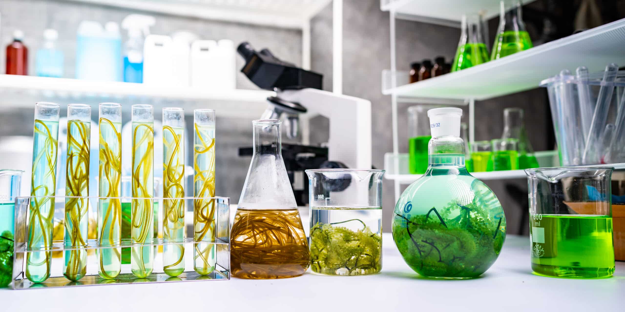 Biotechnologies : historique et environnement de travail